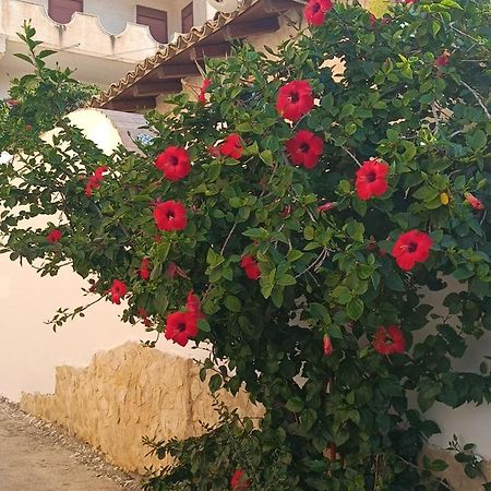 לינה וארוחת בוקר ריאלמונטה Al Faro מראה חיצוני תמונה